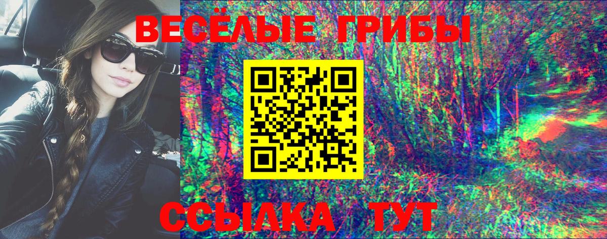 Псилоцибиновые грибы MAGIC MUSHROOMS Лесной