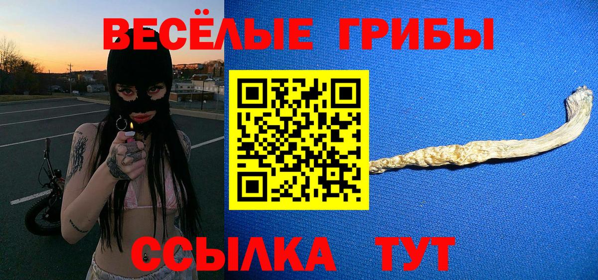 Лесной  Псилоцибиновые грибы Psilocybe  Вход с VPN 